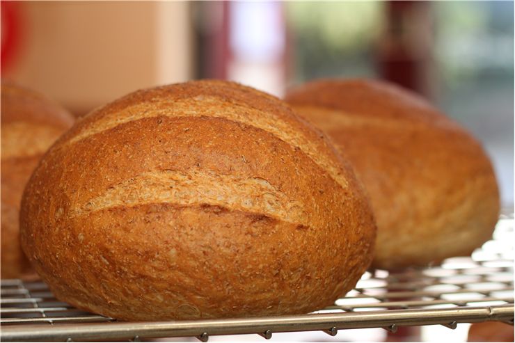 Picture - Fresh Baked Round Bread